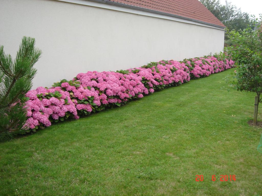Chambres D'Hotes La Villa Des Hortensias Berck Exterior photo